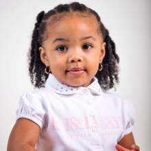 Load image into Gallery viewer, BUBBLE YUM| ICE POP MINI|LIMITED EDITION